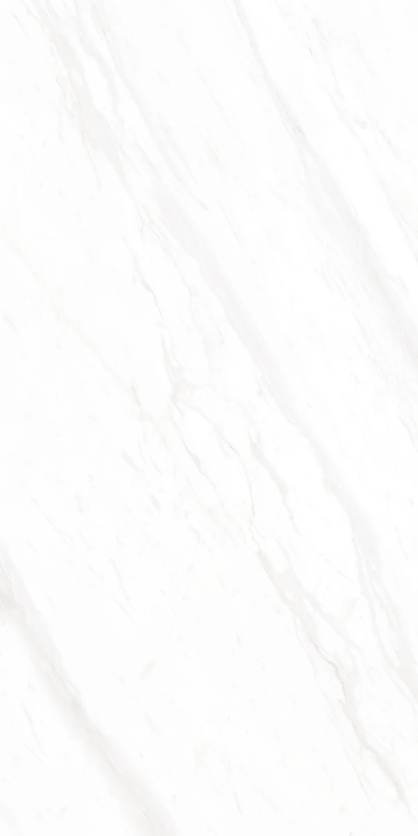 Mặt gạch BM-B61201P1 — góc 1 — 600x1200mm